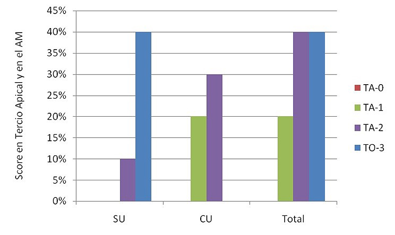 Figura 5. Scores en tercio apical luego del contacto con ácido maleico sin ultrasonido y con ultrasonido. CU: con ultrasonido; SU: sin ultrasonido. TA-0: Totalidad de túbulos abiertos; TA-1: más de 50%de túbulos abiertos; TA-2: menos de 50% de túbulos abiertos; TO-3: totalidad de túbulos obliterados.